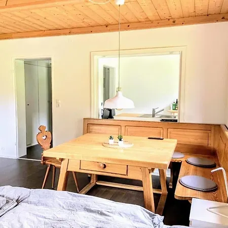 Haus #2 Rechenberg Mit Sauna *